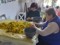 03-púpava-2023
